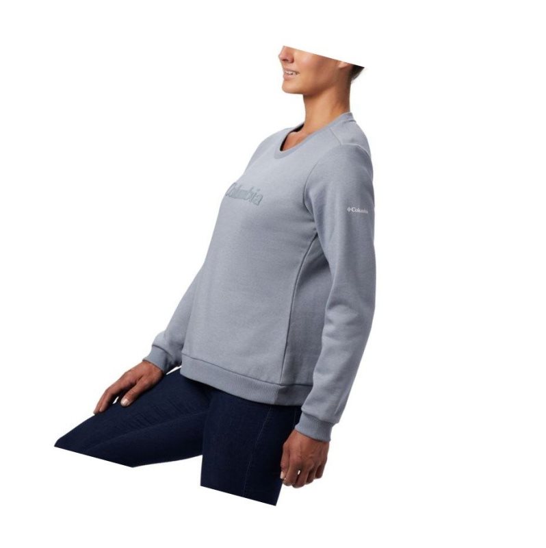 Columbia Logo Crew Top Sweatshirt Kadın Gri | 59672-TRBK