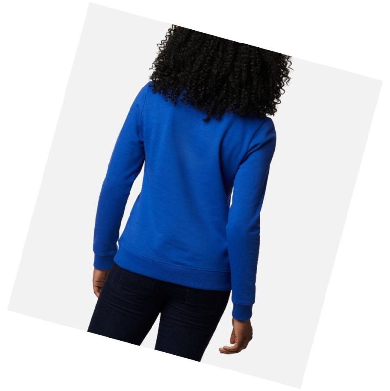 Columbia Logo Crew Top Sweatshirt Kadın Mavi | 31670-TPOC