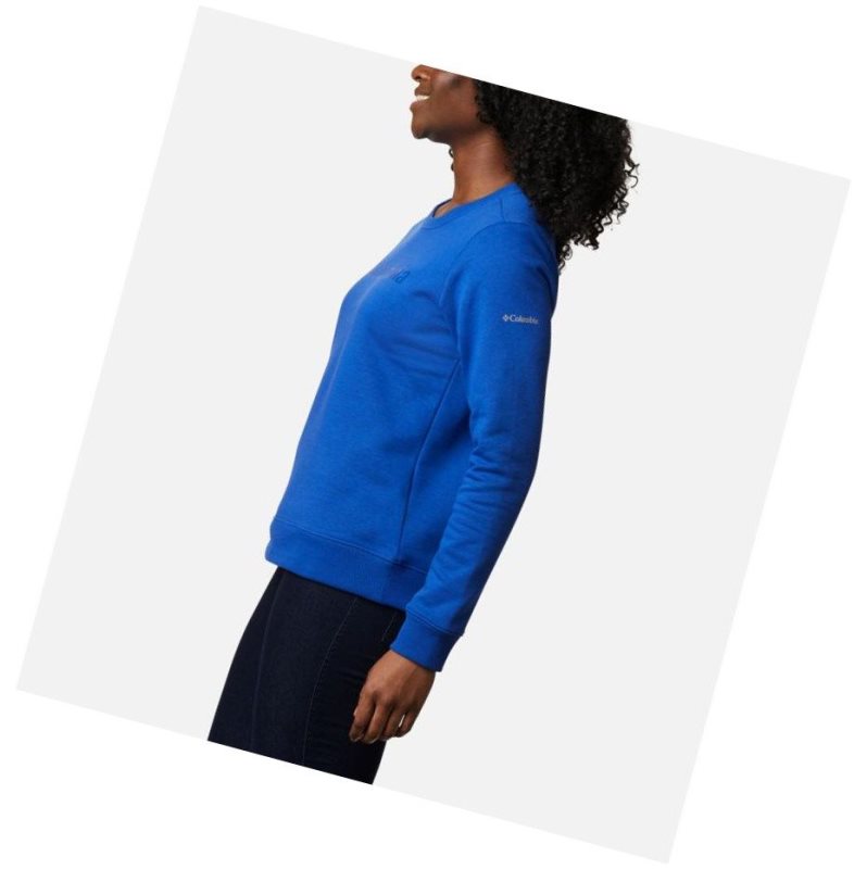 Columbia Logo Crew Top Sweatshirt Kadın Mavi | 31670-TPOC