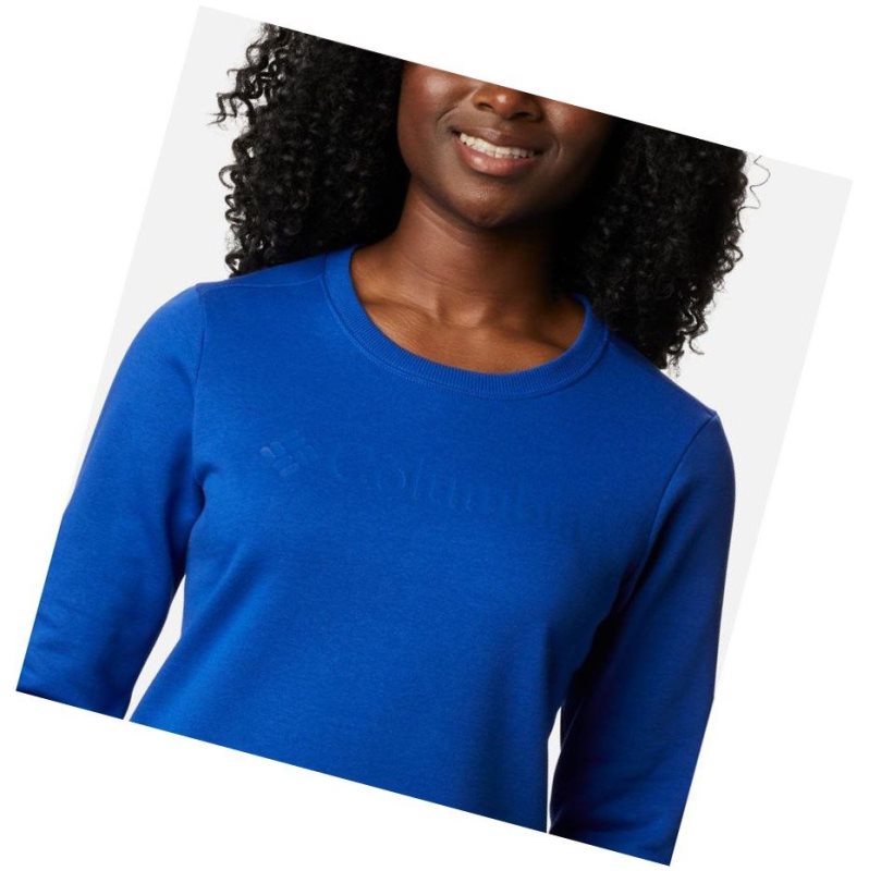 Columbia Logo Crew Top Sweatshirt Kadın Mavi | 31670-TPOC