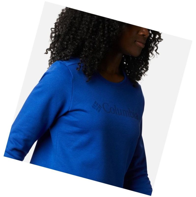 Columbia Logo Crew Top Sweatshirt Kadın Mavi | 31670-TPOC