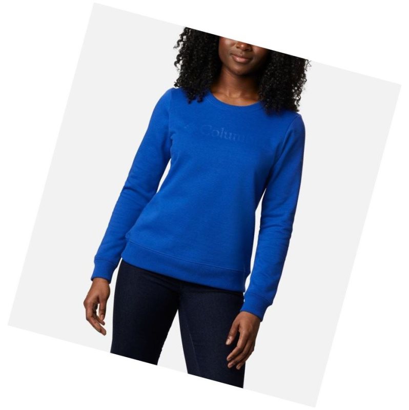 Columbia Logo Crew Top Sweatshirt Kadın Mavi | 31670-TPOC