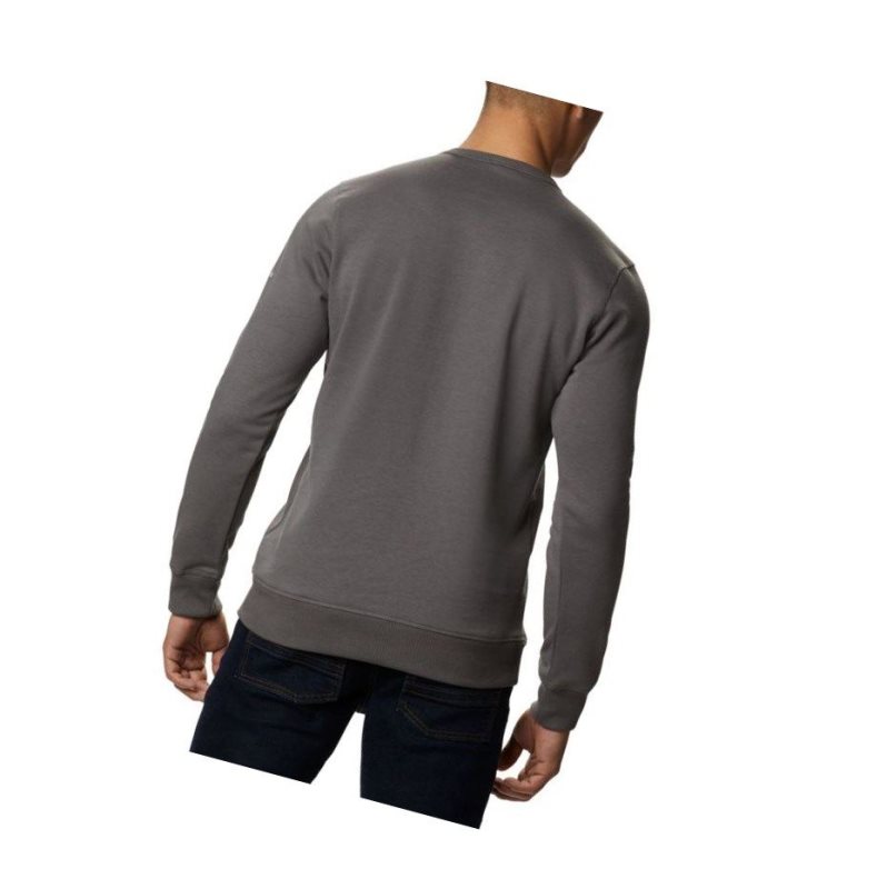 Columbia Logo Fleece Crew Big Sweatshirt Erkek Gri Siyah | 84752-PEGB