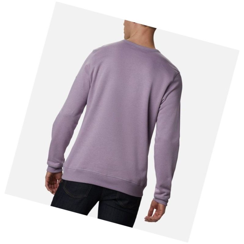 Columbia Logo Fleece Crew Sweatshirt Erkek Mor | 43569-WPYE