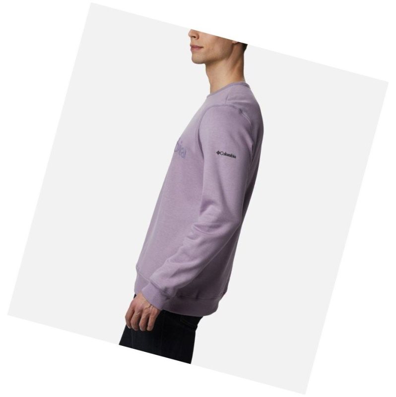 Columbia Logo Fleece Crew Sweatshirt Erkek Mor | 43569-WPYE