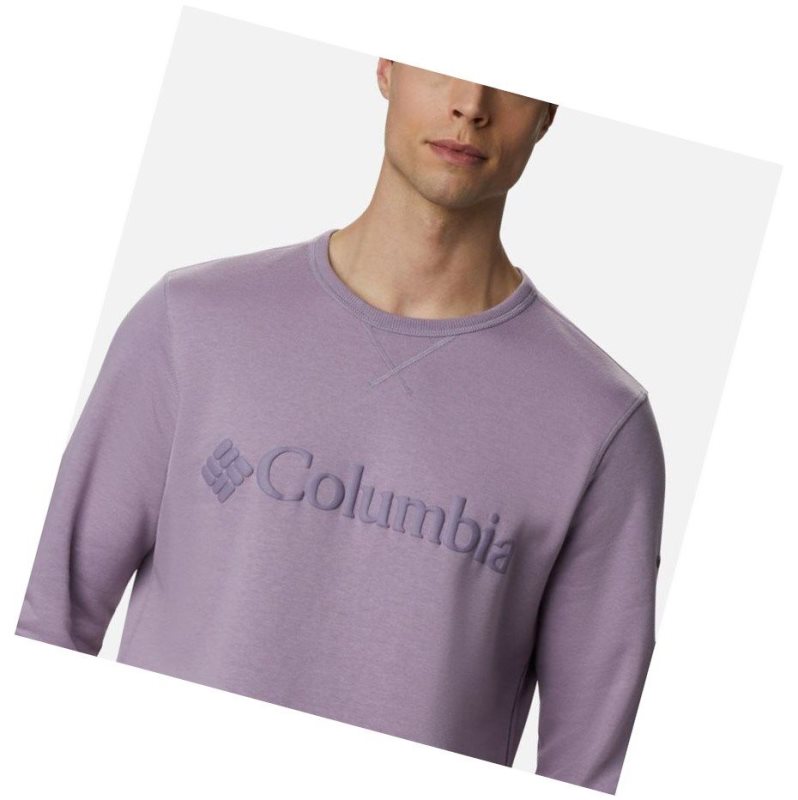 Columbia Logo Fleece Crew Sweatshirt Erkek Mor | 43569-WPYE