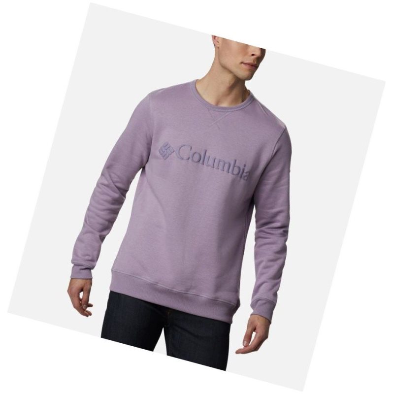 Columbia Logo Fleece Crew Sweatshirt Erkek Mor | 43569-WPYE