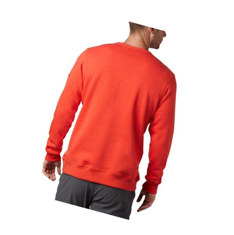 Columbia Logo Fleece Crew Sweatshirt Erkek Haki | 30892-JWZE