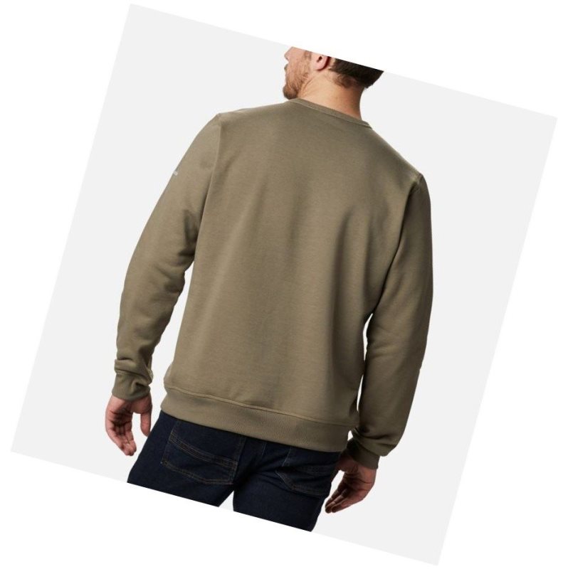 Columbia Logo Fleece Crew Sweatshirt Erkek Gri Yeşil | 87196-GUFZ