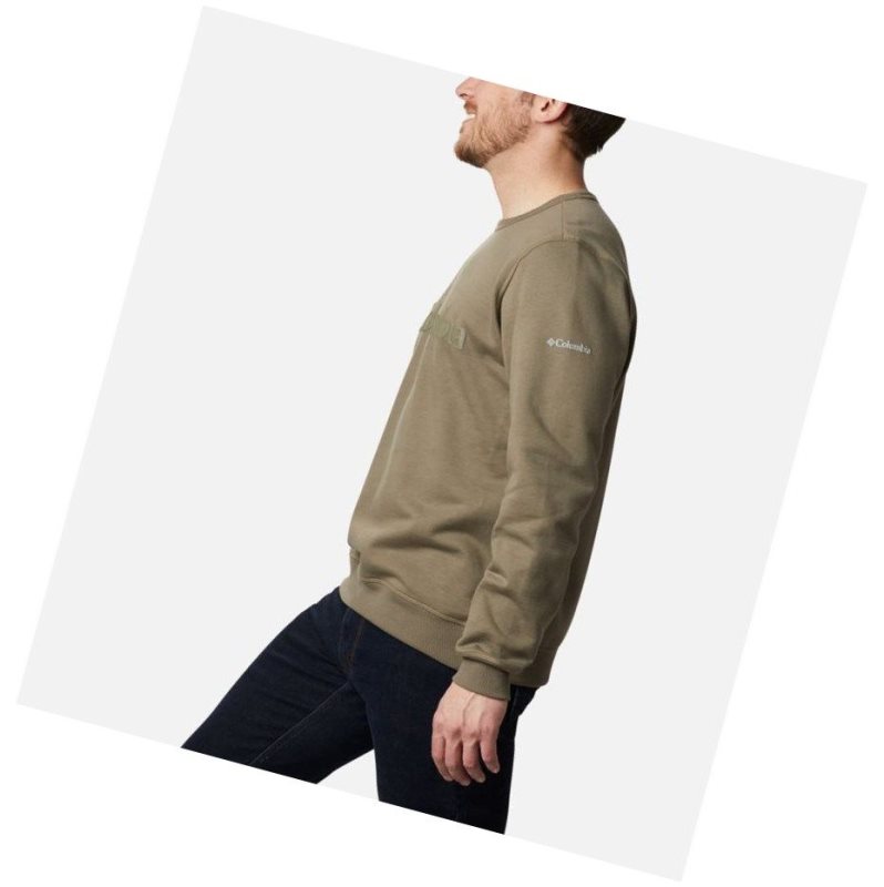 Columbia Logo Fleece Crew Sweatshirt Erkek Gri Yeşil | 87196-GUFZ