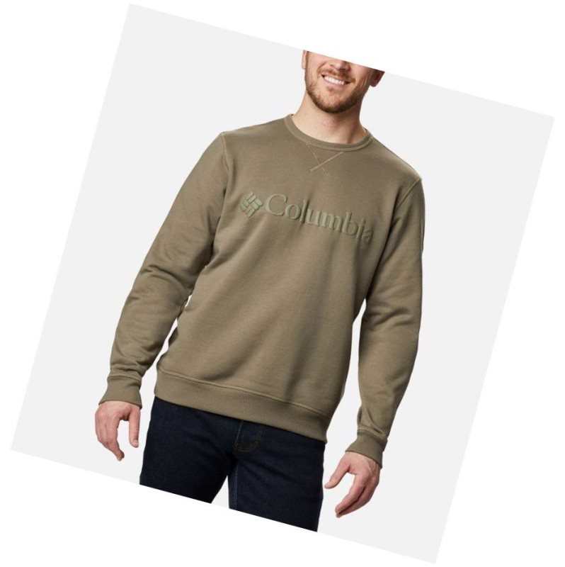 Columbia Logo Fleece Crew Sweatshirt Erkek Gri Yeşil | 87196-GUFZ