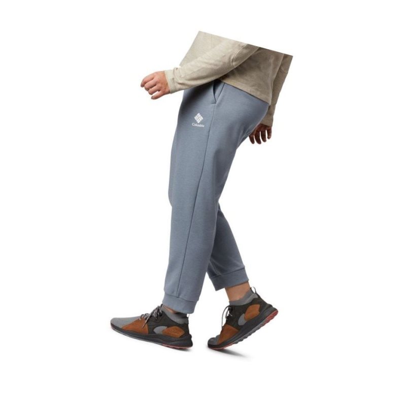 Columbia Logo French Terry Jogger Plus Size Pantolon Kadın Gri | 23195-ILPE