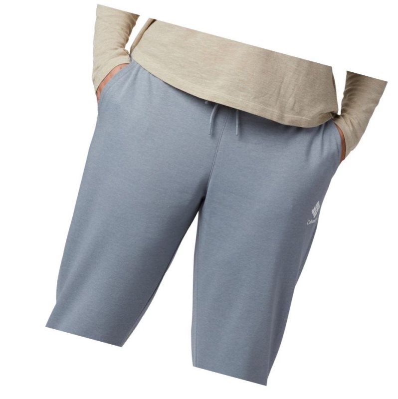 Columbia Logo French Terry Jogger Plus Size Pantolon Kadın Gri | 23195-ILPE