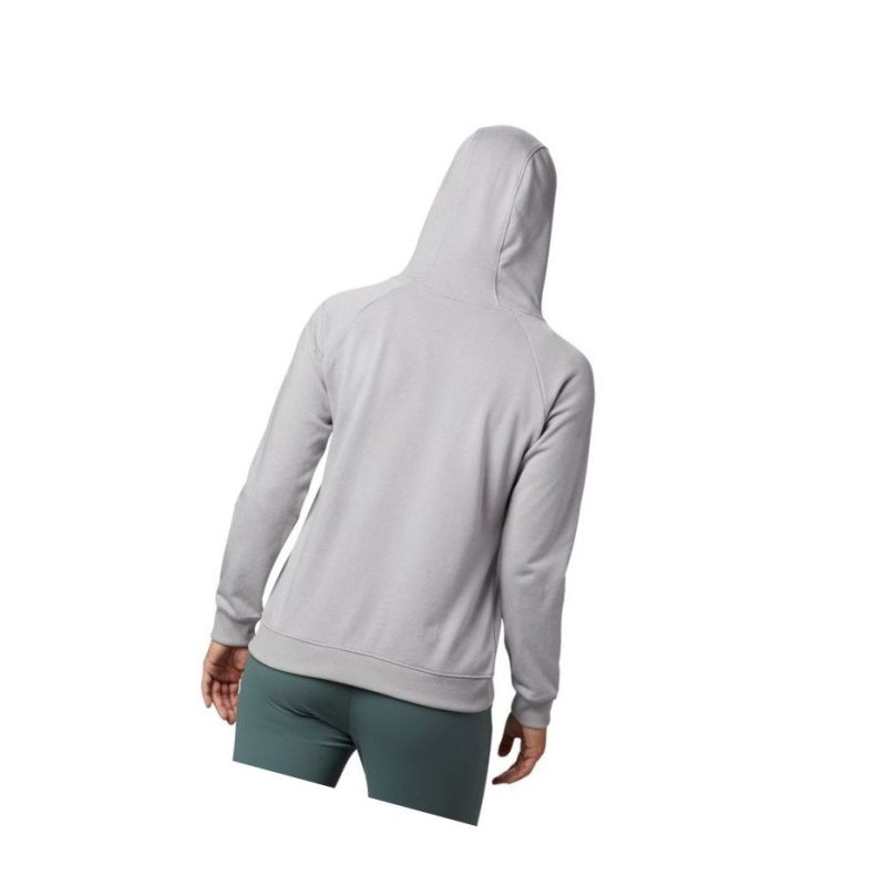 Columbia Logo French Terry Kapşonlu Kadın Gri | 67012-TJNO