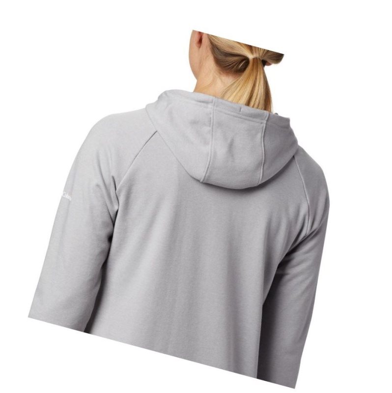 Columbia Logo French Terry Kapşonlu Kadın Gri | 67012-TJNO