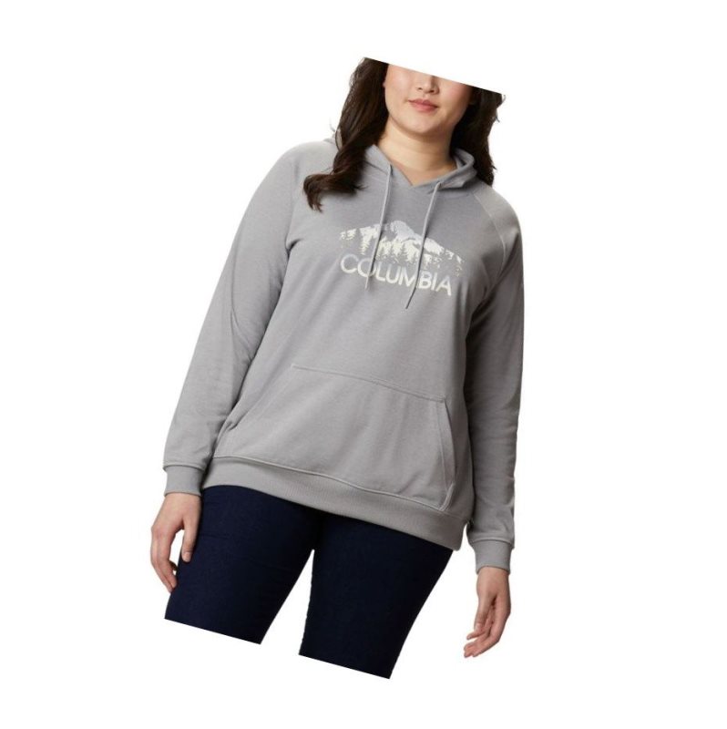 Columbia Logo French Terry Plus Size Kapşonlu Kadın Gri | 05697-GKCJ