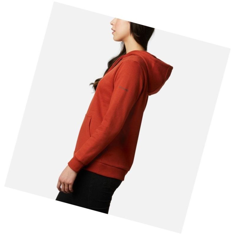 Columbia Logo Kapşonlu Kadın Bordo | 45231-VFSM