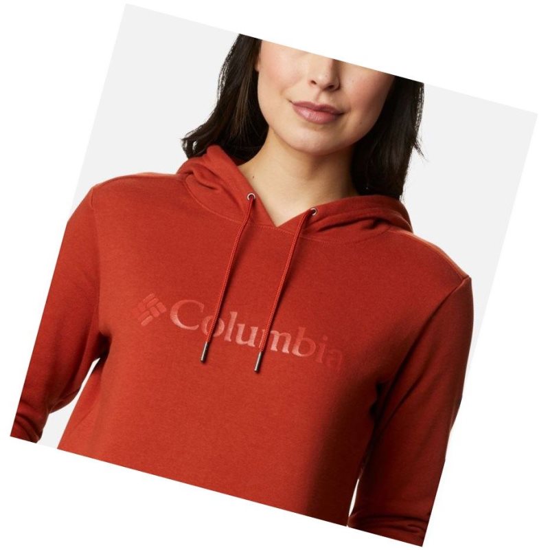 Columbia Logo Kapşonlu Kadın Bordo | 45231-VFSM