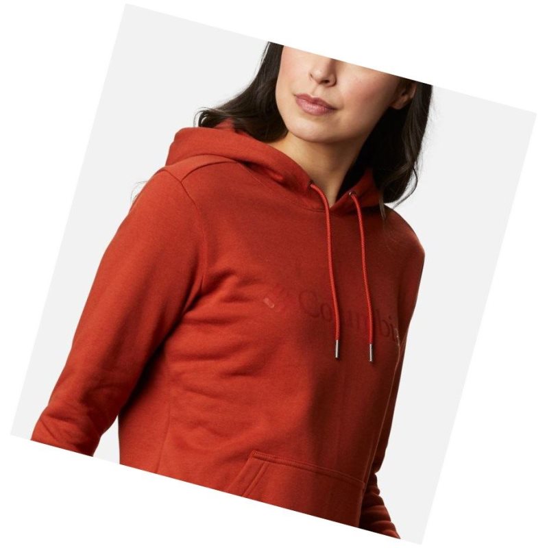 Columbia Logo Kapşonlu Kadın Bordo | 45231-VFSM