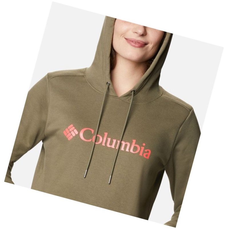 Columbia Logo Kapşonlu Kadın Gri Yeşil | 26954-UNYA