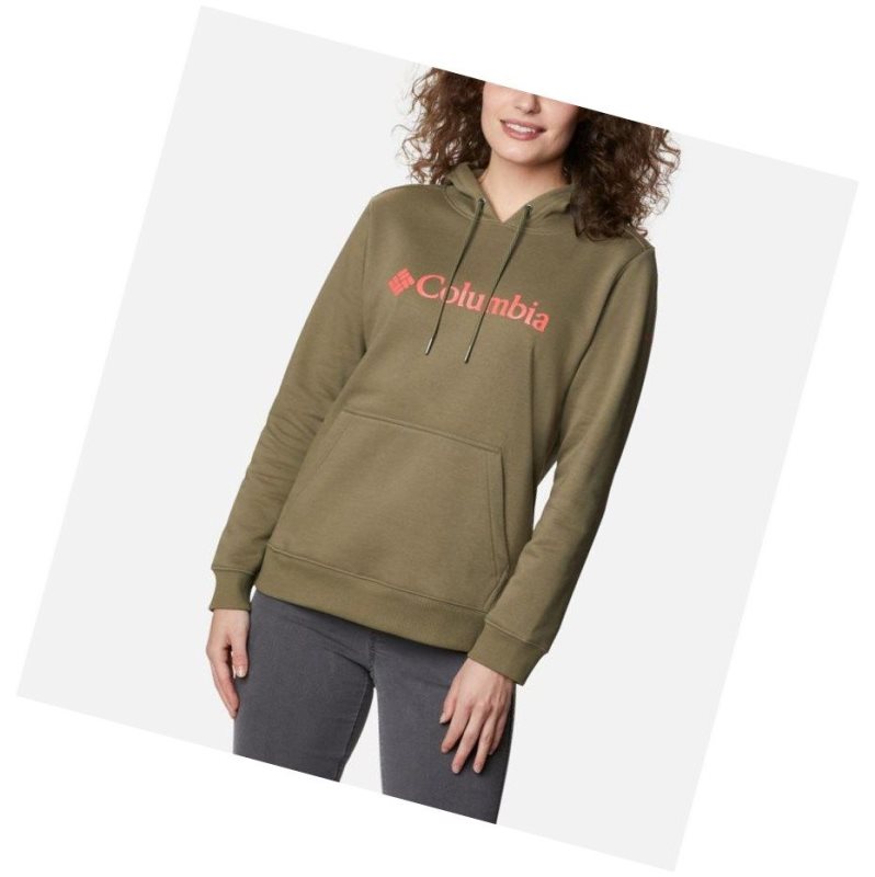 Columbia Logo Kapşonlu Kadın Gri Yeşil | 26954-UNYA