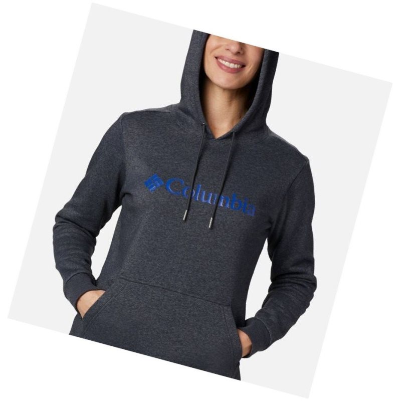 Columbia Logo Kapşonlu Kadın Koyu Gri | 95138-MGQW