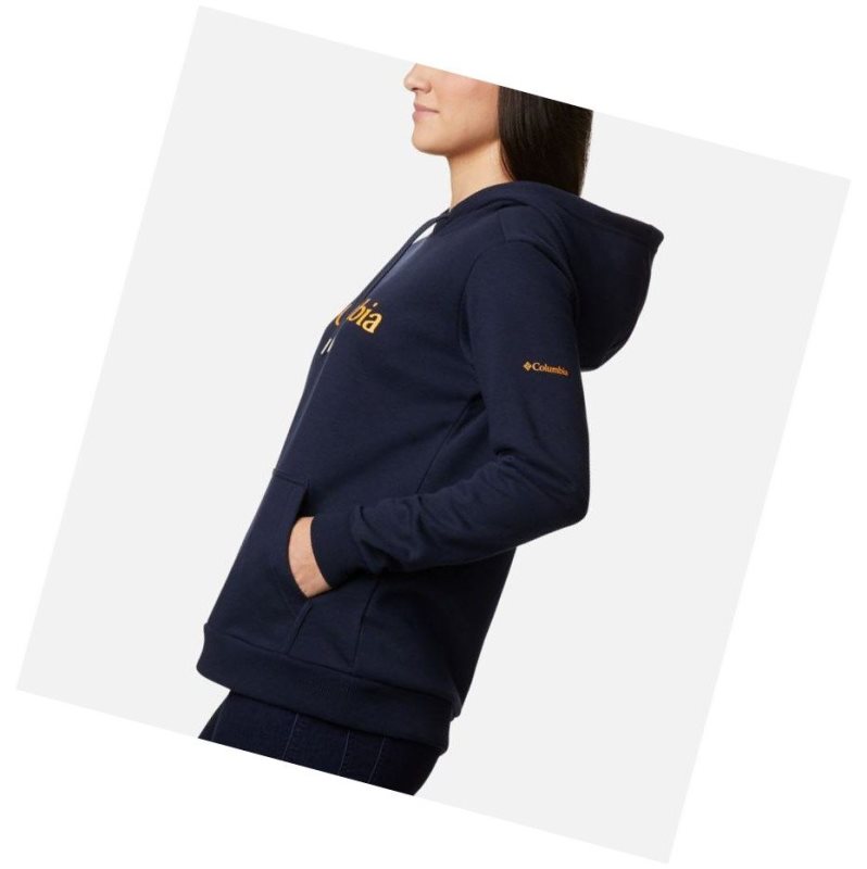 Columbia Logo Kapşonlu Kadın Lacivert | 67891-ASMX