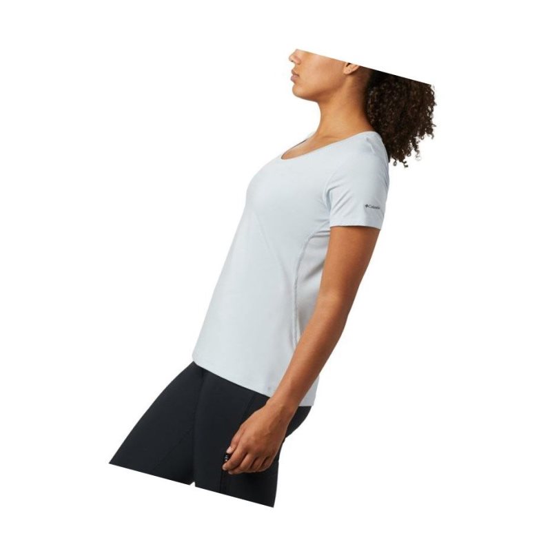 Columbia Malvern Cove?Short Sleeve Tişört Kadın Gri | 86540-AWMF