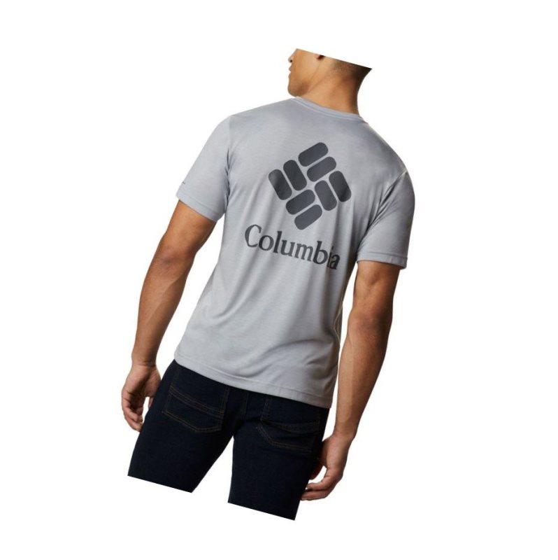 Columbia Maxtrail Logo Tişört Erkek Gri | 52904-DXOG