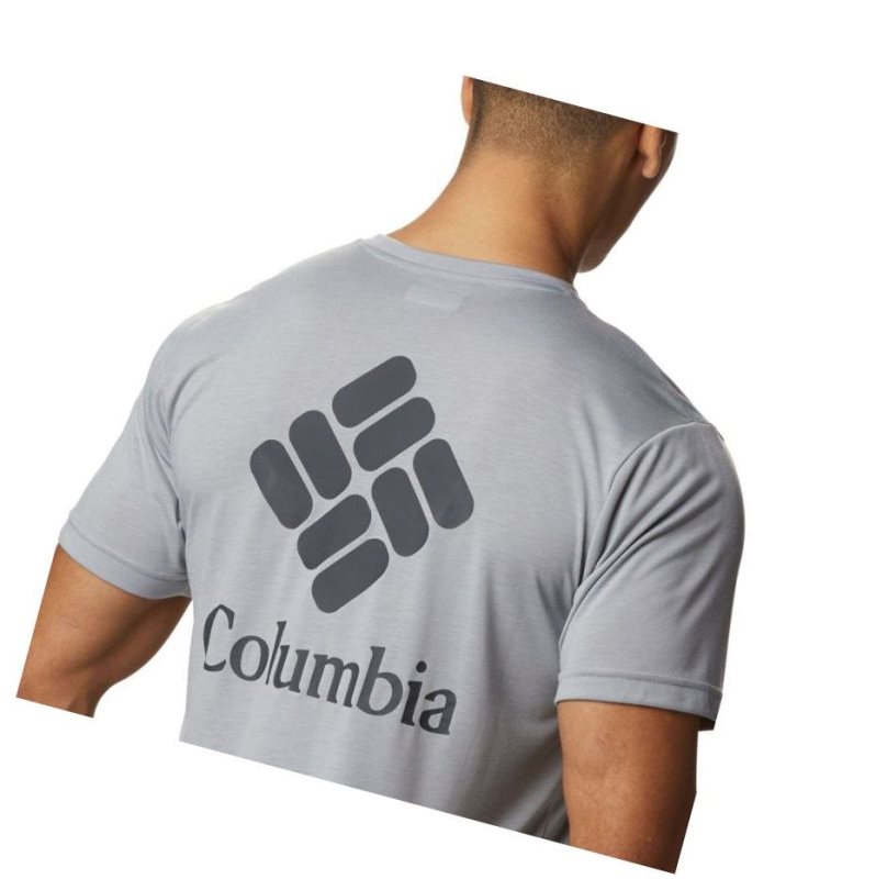 Columbia Maxtrail Logo Tişört Erkek Gri | 52904-DXOG
