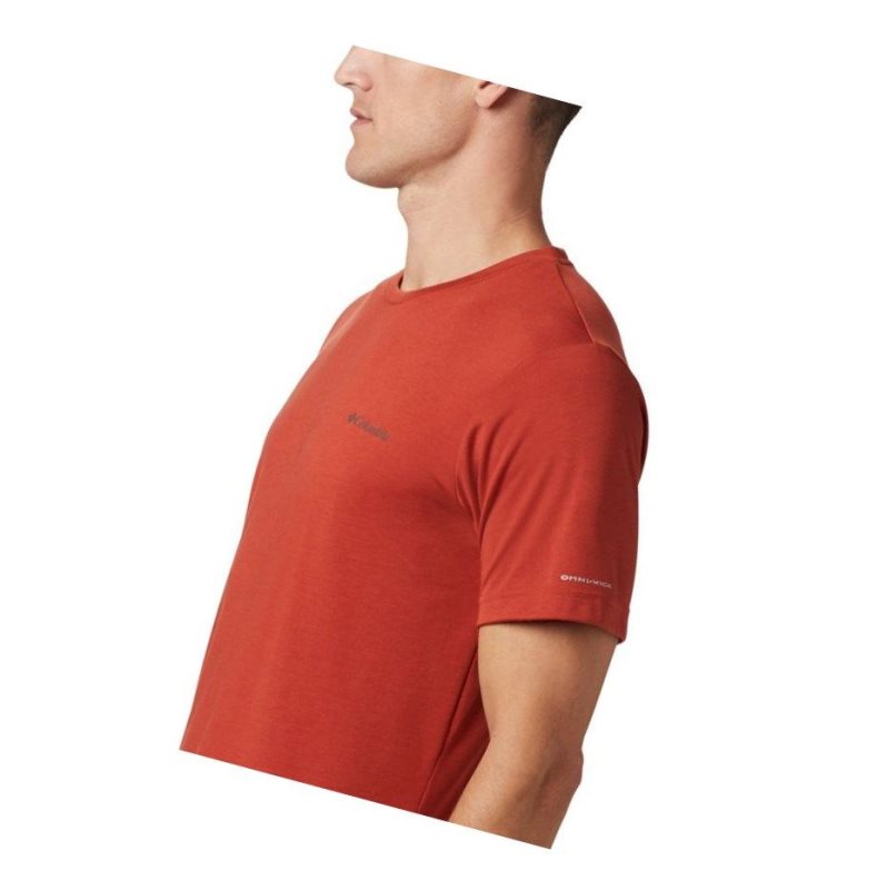 Columbia Maxtrail Logo Tişört Erkek Kırmızı | 32498-NUOS