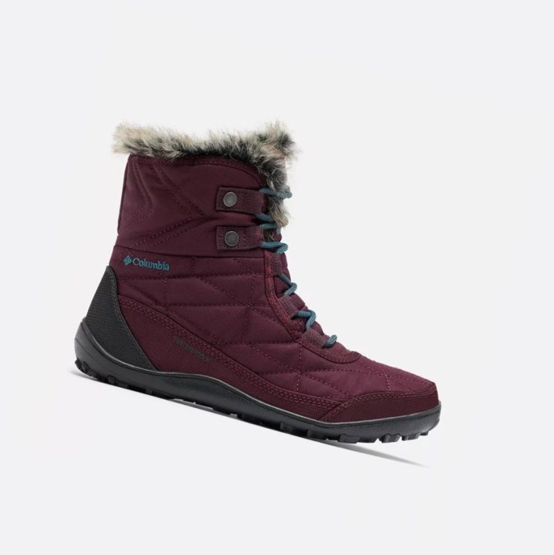 Columbia Minx Shorty III Kışlık Bot Kadın Mor Mavi | 24160-GXWU