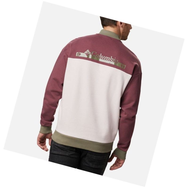 Columbia Mountain View Crew Sweatshirt Erkek Pembe Gri Yeşil | 45231-IHGW