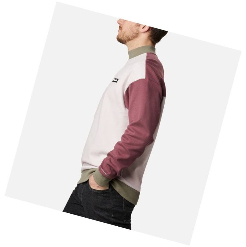 Columbia Mountain View Crew Sweatshirt Erkek Pembe Gri Yeşil | 45231-IHGW