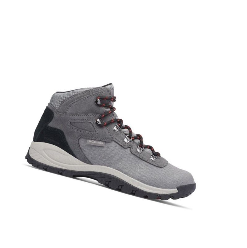 Columbia Newton Ridge Canvas Waterproof Wide Yürüyüş Botu Erkek Titanyum Kırmızı | 59430-QMBW