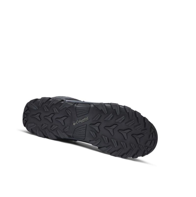 Columbia Newton Ridge Plus II Suede Waterproof Wide Yürüyüş Botu Erkek Koyu Gri Siyah | 32651-RCFM
