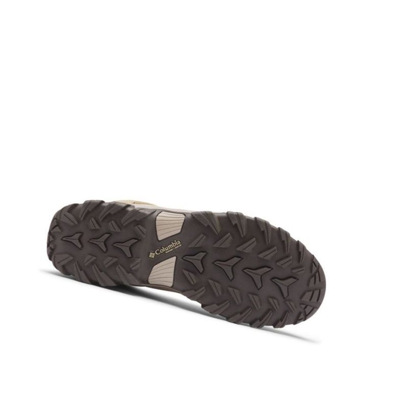Columbia Newton Ridge Plus II Suede Waterproof Wide Yürüyüş Botu Erkek Bej Rengi | 04756-FBNX