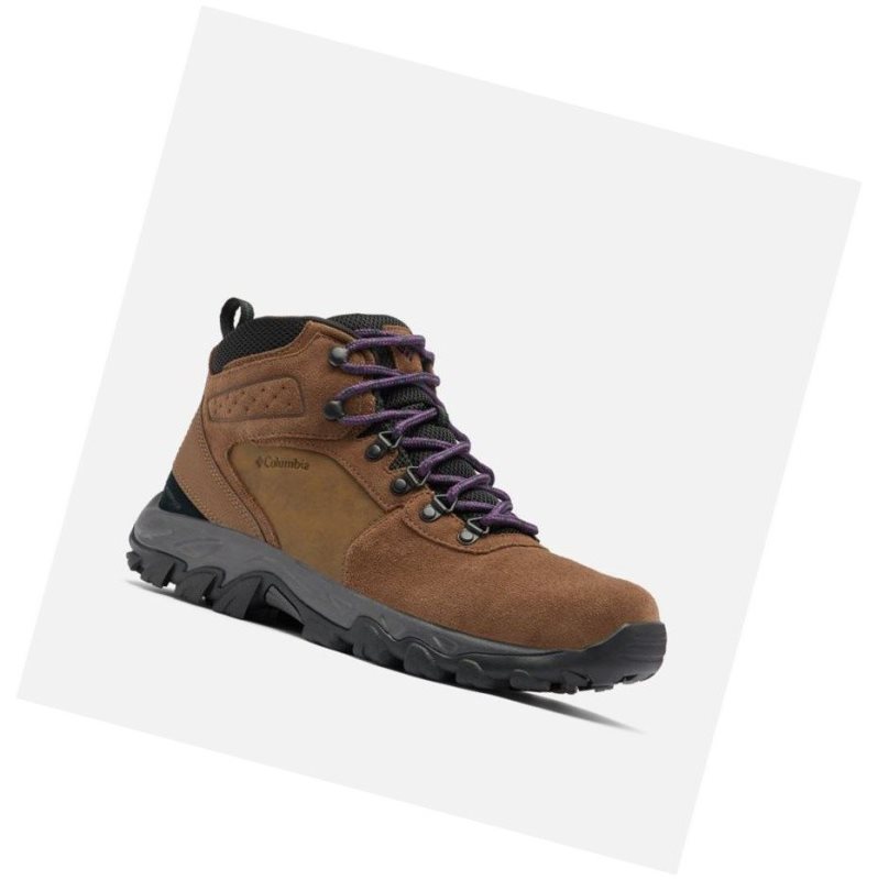 Columbia Newton Ridge Plus II Suede Waterproof Yürüyüş Botu Erkek Koyu Kahverengi Mor | 89143-QYDB