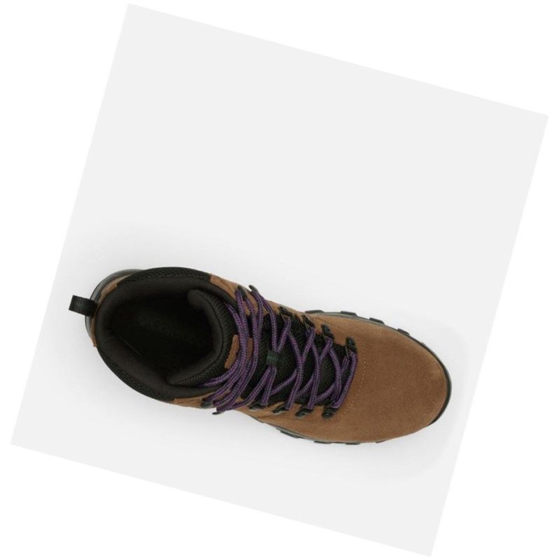 Columbia Newton Ridge Plus II Suede Waterproof Yürüyüş Botu Erkek Koyu Kahverengi Mor | 89143-QYDB