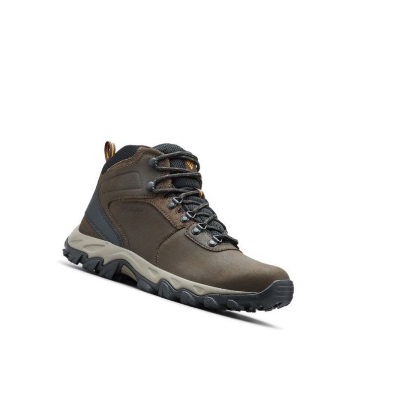 Columbia Newton Ridge Plus II Waterproof Yürüyüş Botu Erkek Koyu Kahverengi Gri | 84310-XCHA