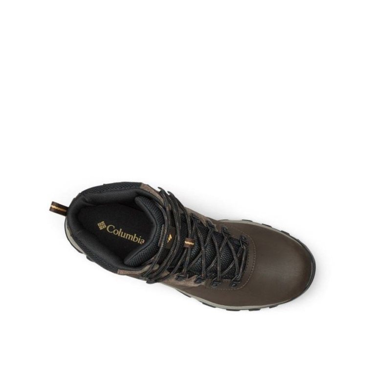 Columbia Newton Ridge Plus II Waterproof Yürüyüş Botu Erkek Koyu Kahverengi Gri | 84310-XCHA