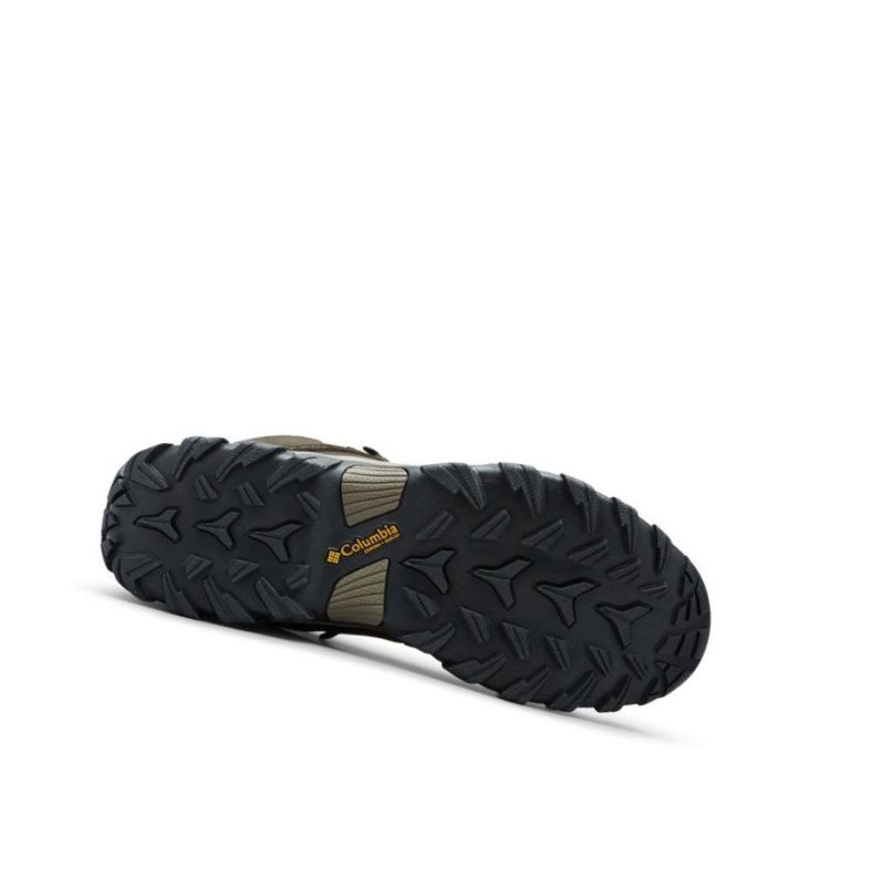 Columbia Newton Ridge Plus II Waterproof Yürüyüş Botu Erkek Koyu Kahverengi Gri | 84310-XCHA