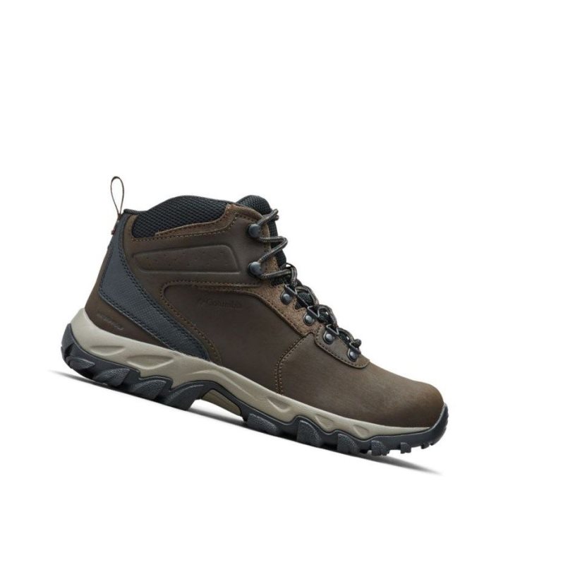 Columbia Newton Ridge Plus II Waterproof Yürüyüş Botu Erkek Koyu Kahverengi Gri | 84310-XCHA