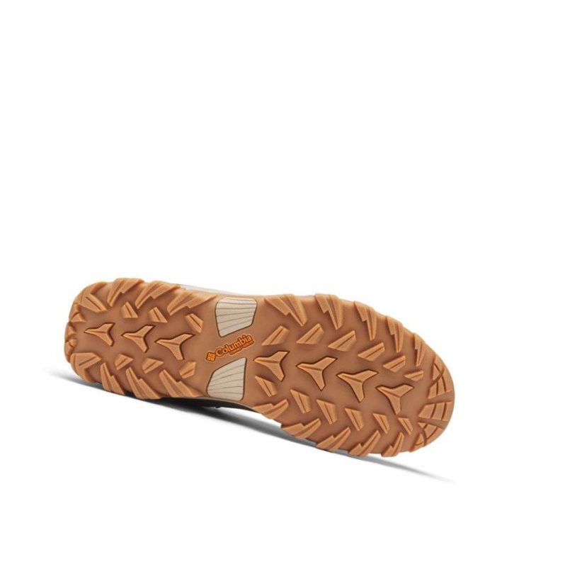 Columbia Newton Ridge Plus II Waterproof Wide Yürüyüş Botu Erkek Zeytin Yeşili | 82197-WRSP