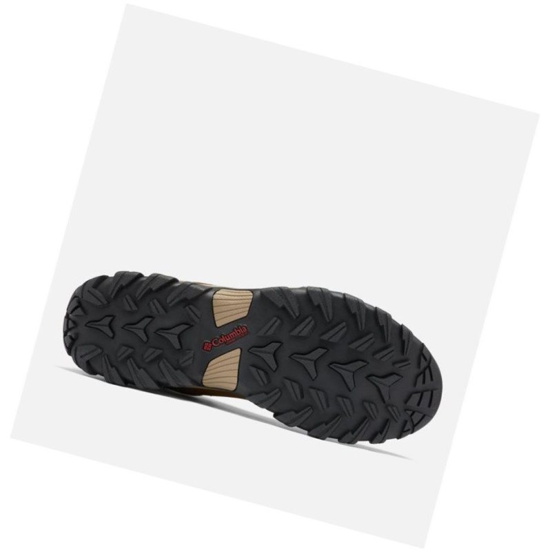 Columbia Newton Ridge Plus II Waterproof Wide Yürüyüş Botu Erkek Açık Kahverengi Kırmızı | 72063-DTFB