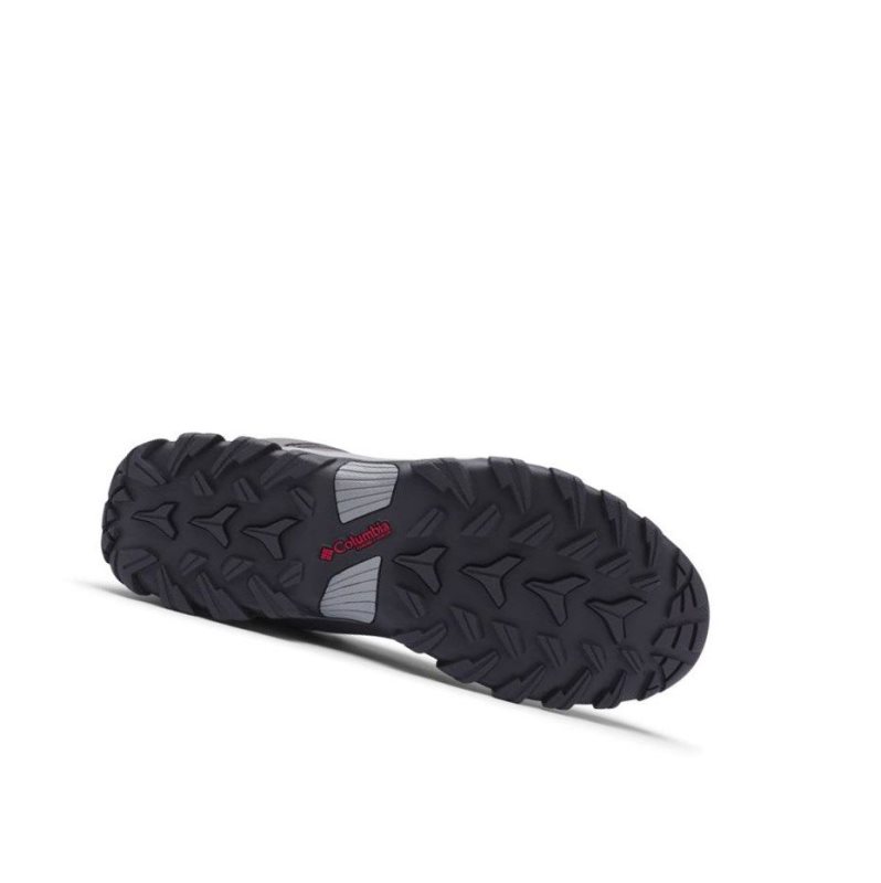 Columbia Newton Ridge Plus II Waterproof Wide Yürüyüş Botu Erkek Gri | 70628-BCXS