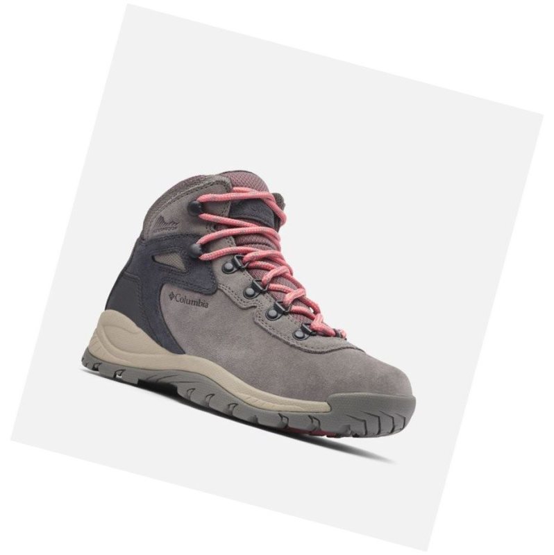Columbia Newton Ridge Plus Waterproof Amped Yürüyüş Botu Kadın Pembe | 95641-VJGA