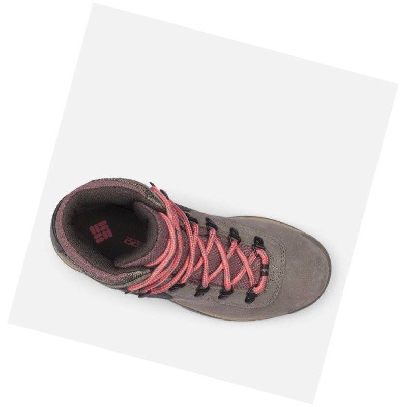Columbia Newton Ridge Plus Waterproof Amped Yürüyüş Botu Kadın Pembe | 95641-VJGA