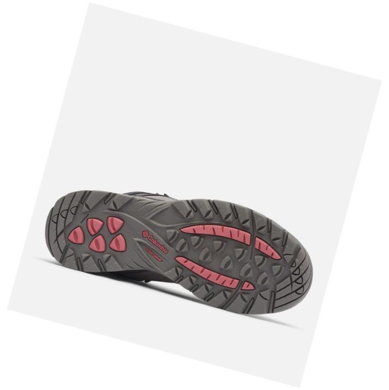 Columbia Newton Ridge Plus Waterproof Amped Yürüyüş Botu Kadın Pembe | 95641-VJGA
