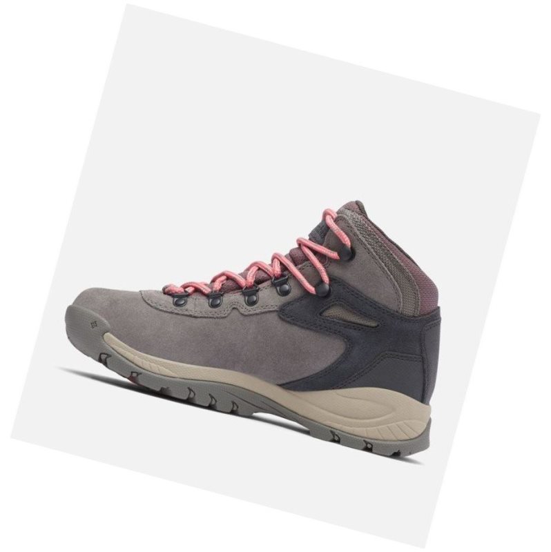 Columbia Newton Ridge Plus Waterproof Amped Yürüyüş Botu Kadın Pembe | 95641-VJGA